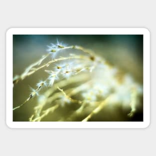 Snowflake Grass Sticker